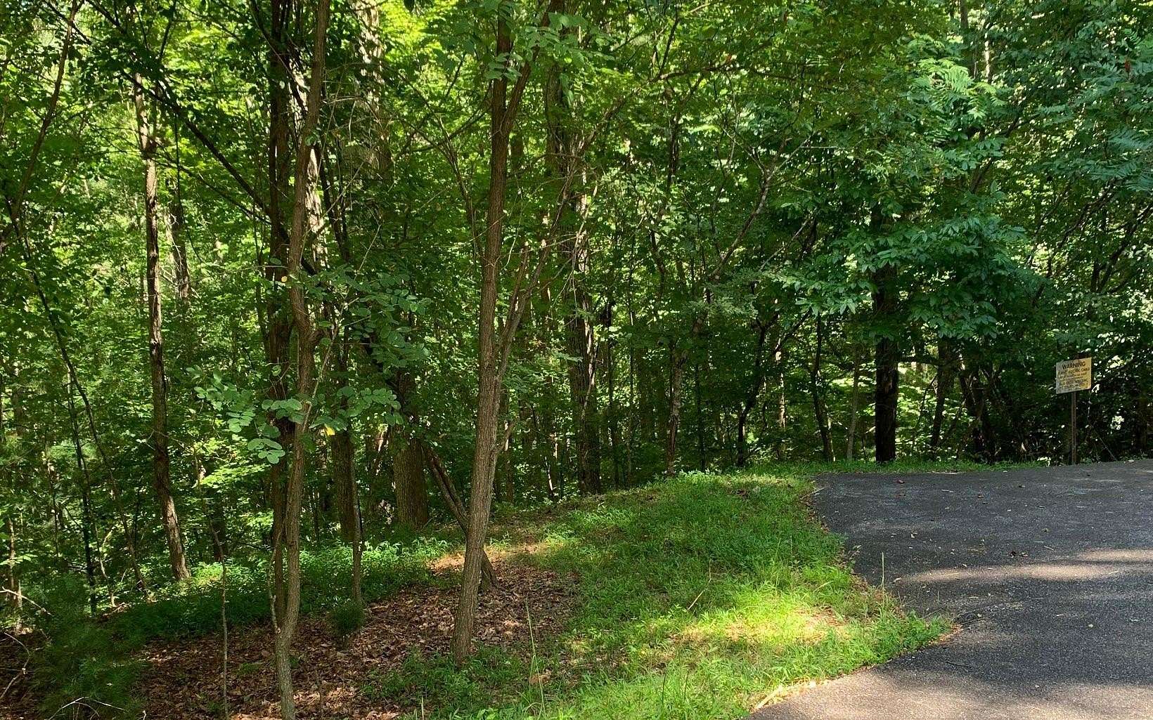 1.3 Acres of Residential Land for Sale in Blairsville, Georgia
