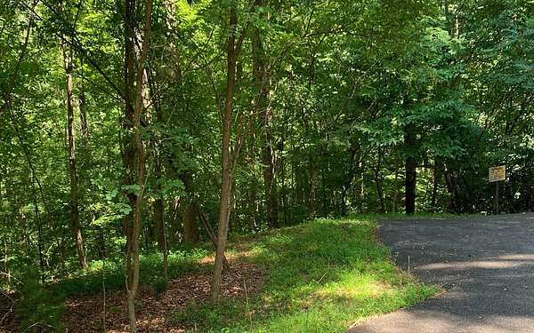 1.3 Acres of Residential Land for Sale in Blairsville, Georgia
