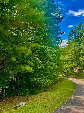 1.57 Acres of Land for Sale in Blairsville, Georgia