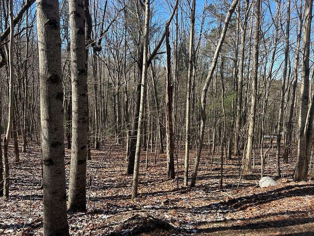 1 Acre of Land for Sale in Blairsville, Georgia