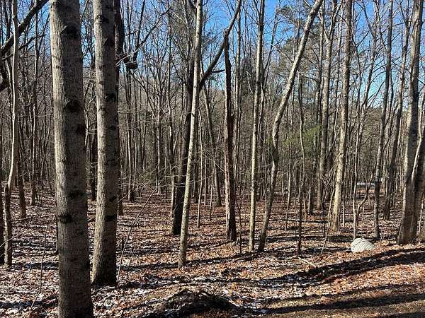 1 Acre of Land for Sale in Blairsville, Georgia