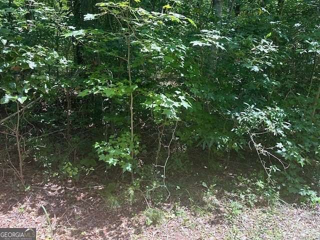 0.36 Acres of Land for Sale in Martin, Georgia