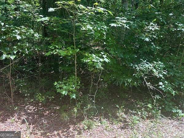 0.36 Acres of Land for Sale in Martin, Georgia