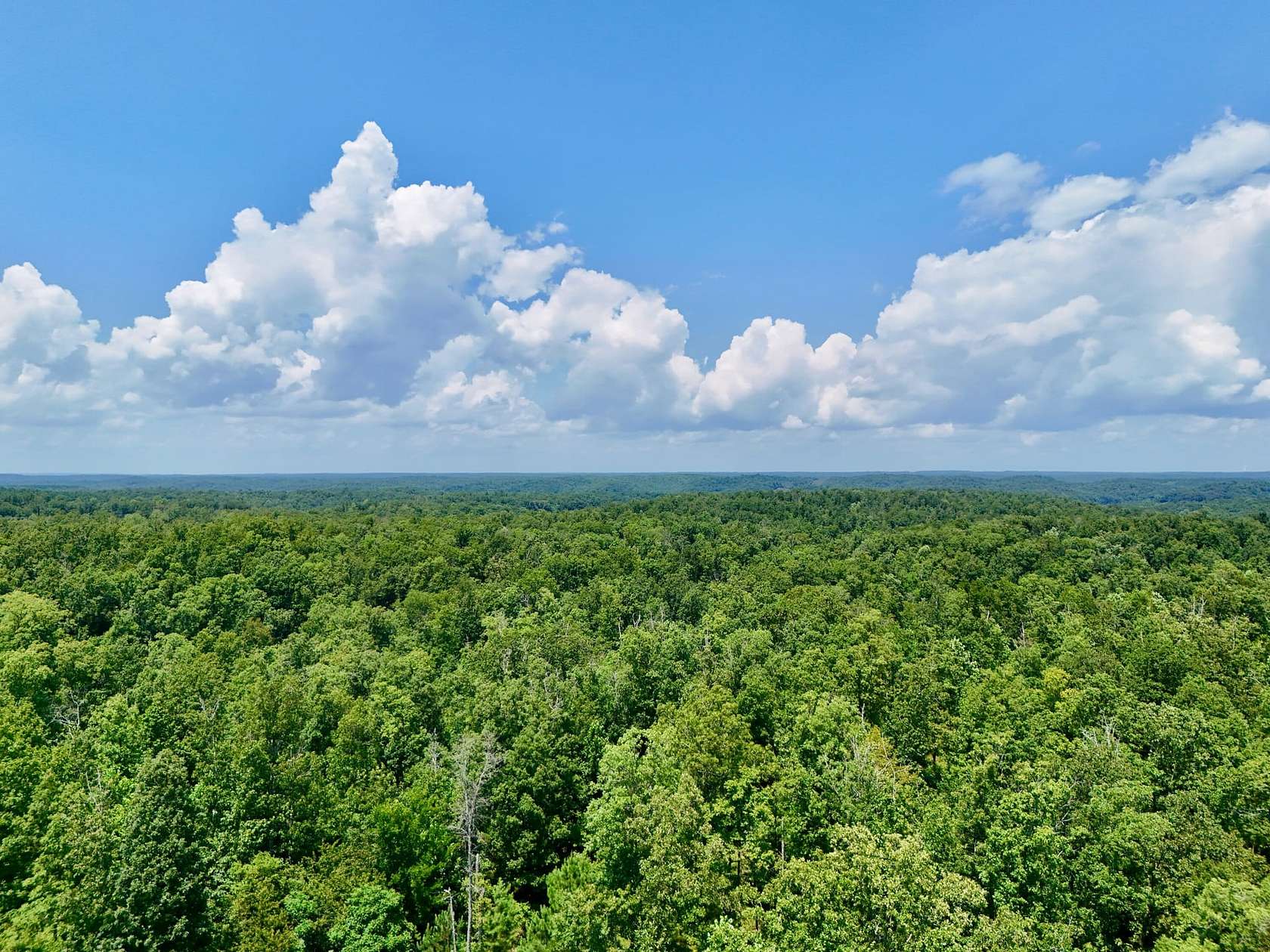 170 Acres of Recreational Land for Sale in Waverly, Tennessee