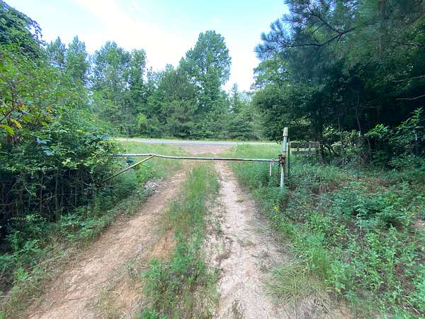 80 Acres of Recreational Land & Farm for Sale in Jefferson, Texas