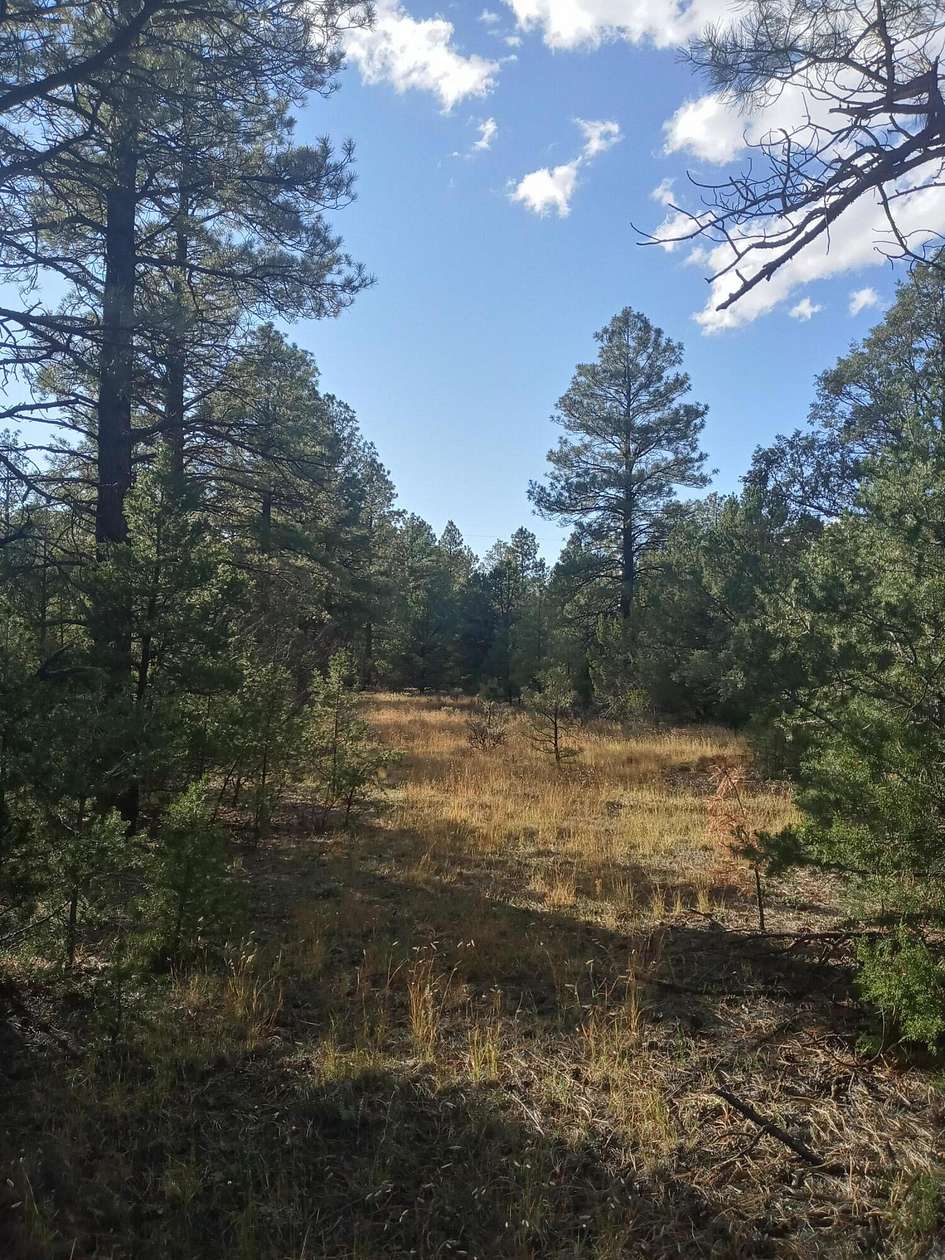 5.8 Acres of Recreational Land for Sale in Ramah, New Mexico