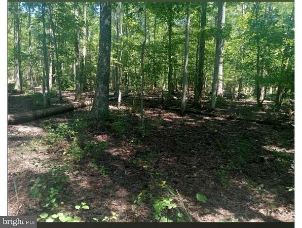 3.9 Acres of Land for Sale in Newburg, Maryland