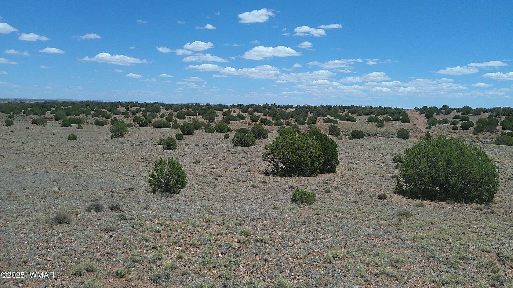41.4 Acres of Land for Sale in Concho, Arizona