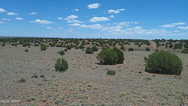 41.4 Acres of Land for Sale in Concho, Arizona