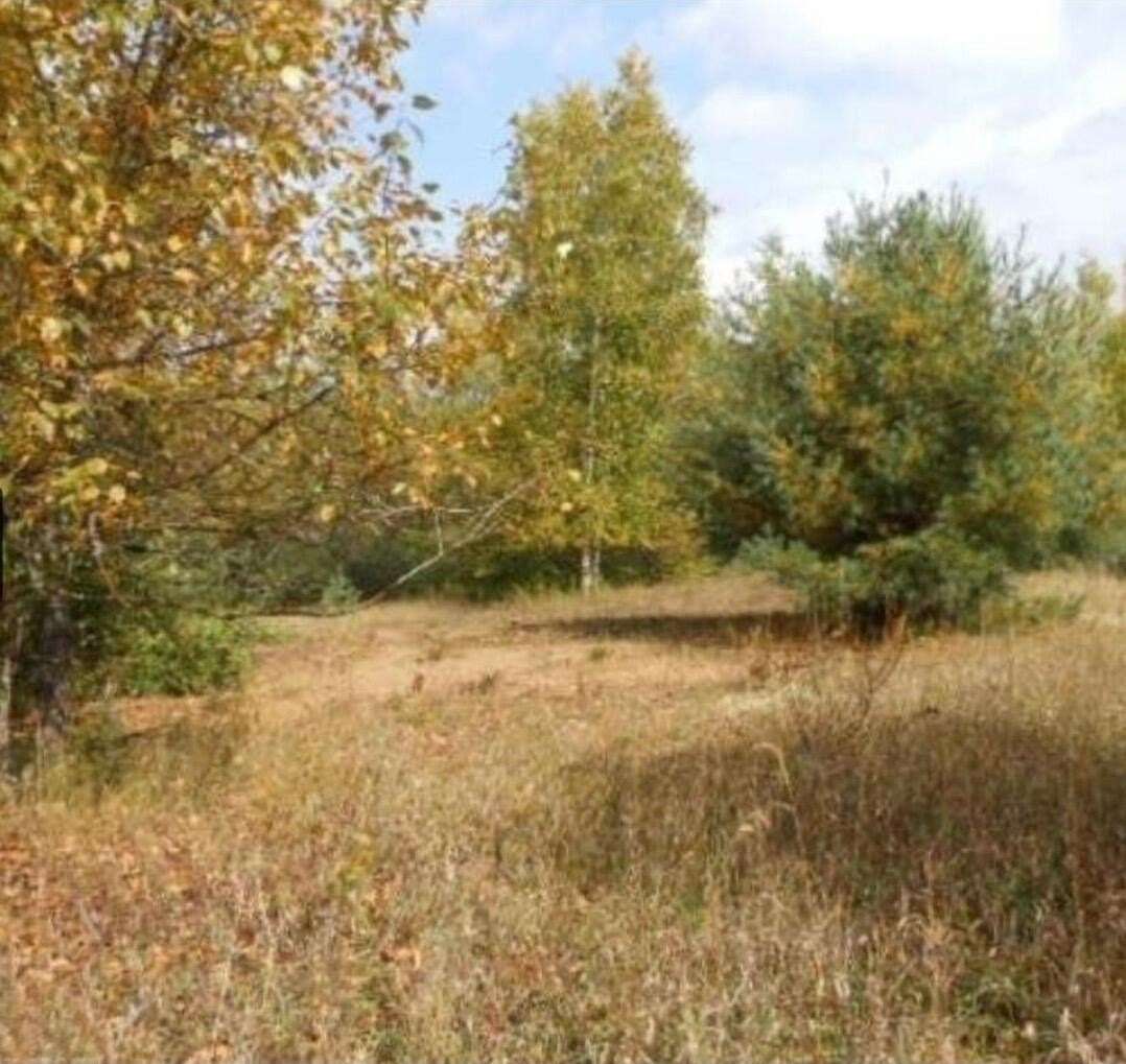 0.3 Acres of Land for Sale in Evart, Michigan