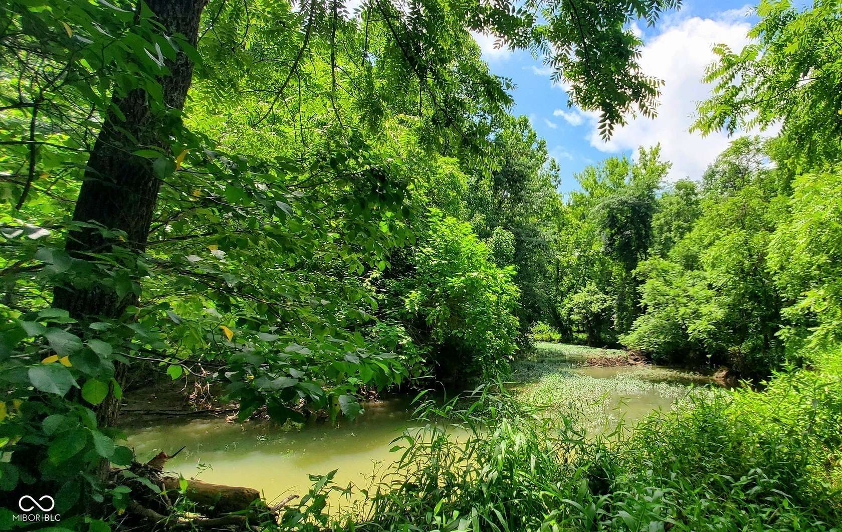 48.4 Acres of Recreational Land for Sale in Solsberry, Indiana