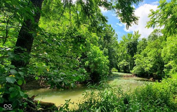 48.4 Acres of Recreational Land for Sale in Solsberry, Indiana