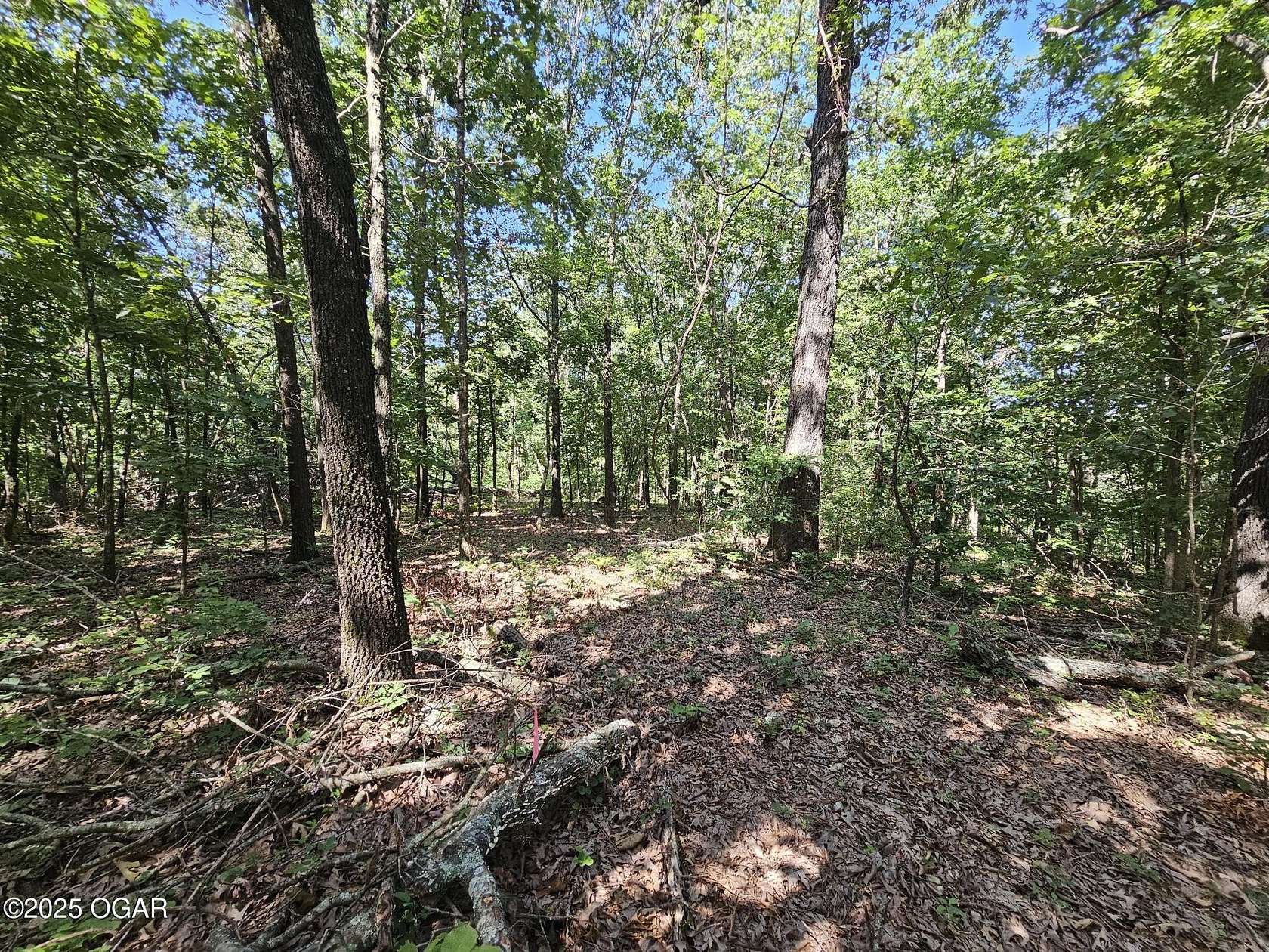 65 Acres of Recreational Land for Sale in Anderson, Missouri