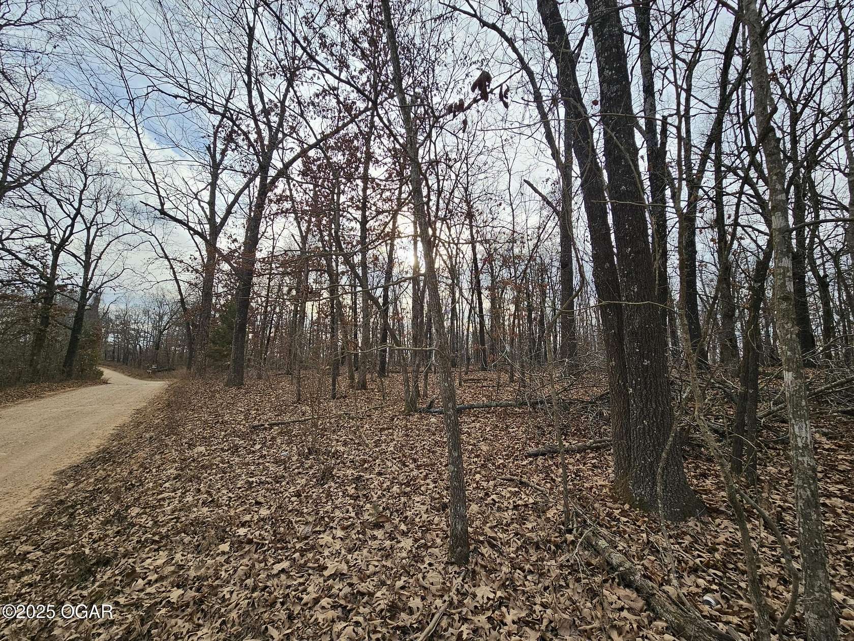 65 Acres of Recreational Land for Sale in Anderson, Missouri