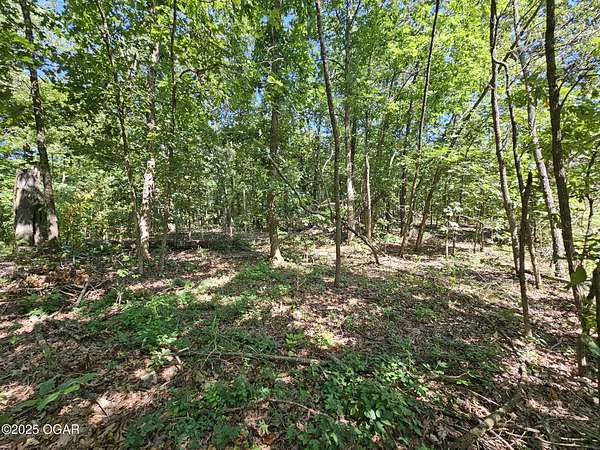 65 Acres of Recreational Land for Sale in Anderson, Missouri
