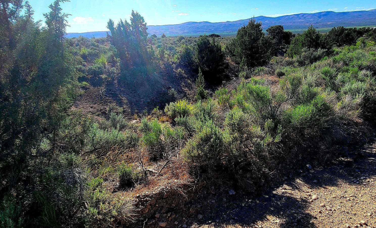 1 Acre of Residential Land for Sale in Elko, Nevada