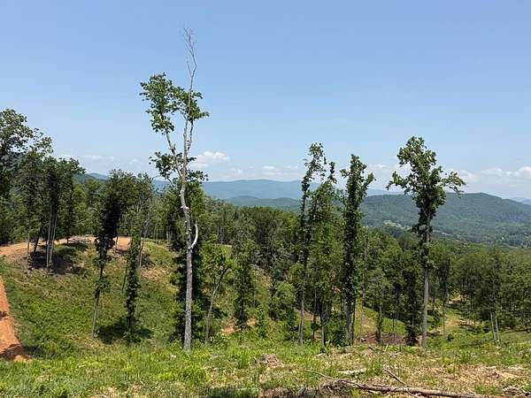 Residential Land for Sale in Hayesville, North Carolina