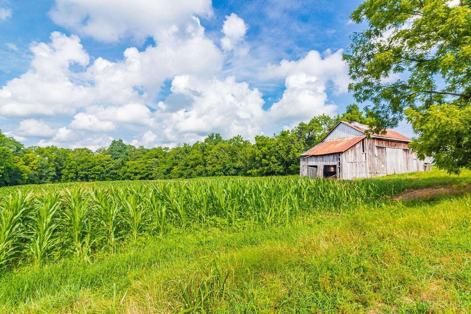 36 Acres of Improved Land for Sale in West Union, Ohio