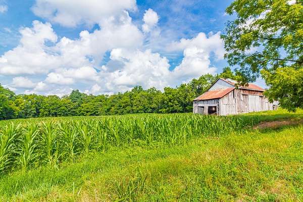 36 Acres of Improved Land for Sale in West Union, Ohio
