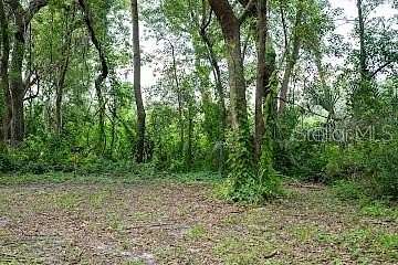 1.49 Acres of Land for Sale in Yalaha, Florida