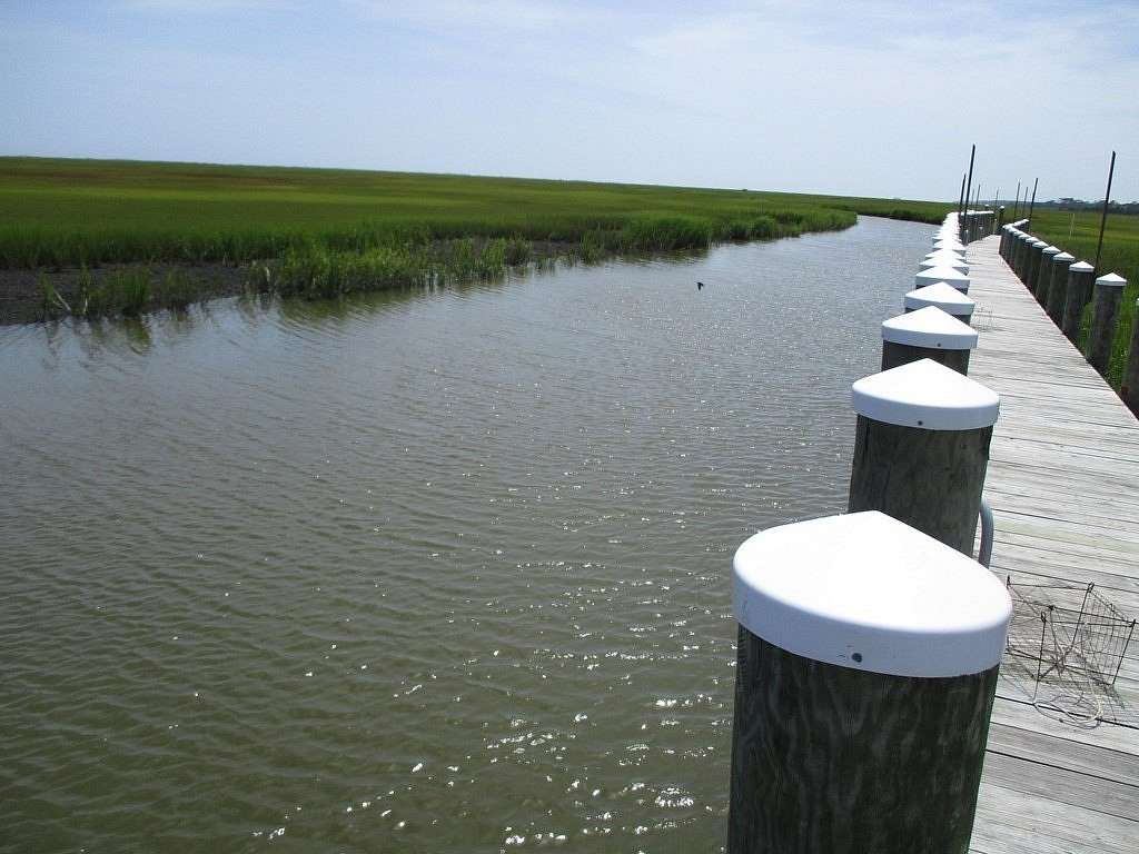 1 Acre of Residential Land for Sale in Parksley, Virginia