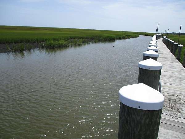 1 Acre of Residential Land for Sale in Parksley, Virginia