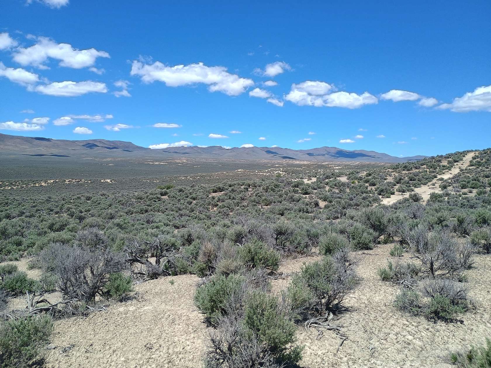 2 Acres of Land for Sale in Ryndon, Nevada