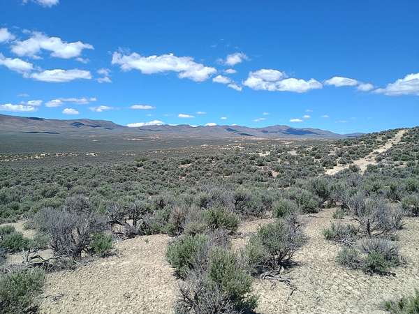 2 Acres of Land for Sale in Ryndon, Nevada