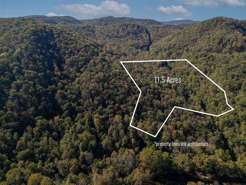 11.5 Acres of Recreational & Residential Land for Sale in Jumping Branch, West Virginia