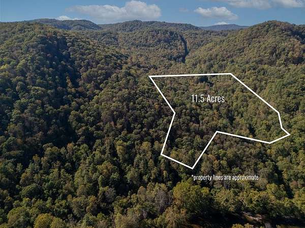 11.5 Acres of Recreational & Residential Land for Sale in Jumping Branch, West Virginia