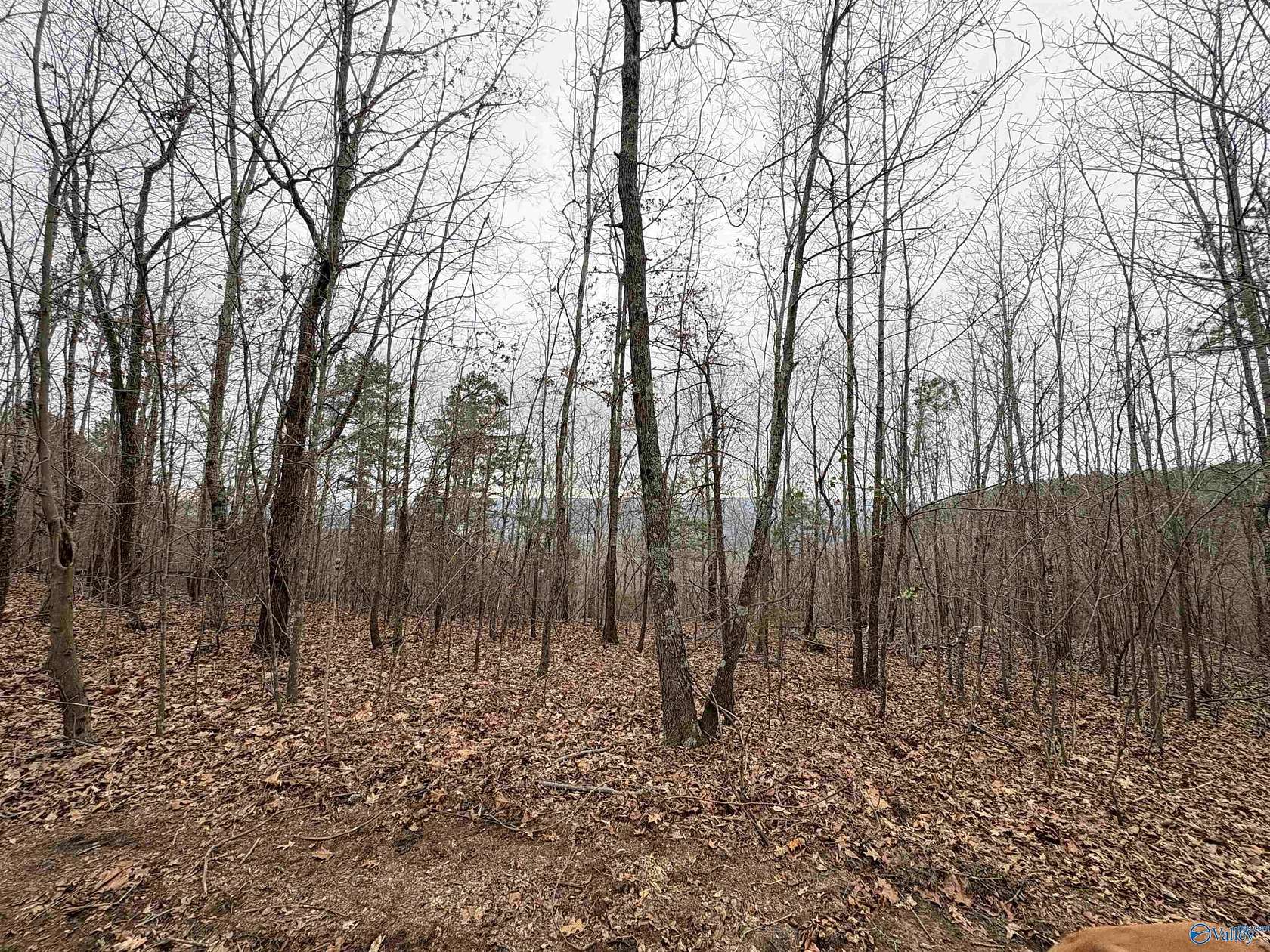 80 Acres of Land for Sale in Scottsboro, Alabama