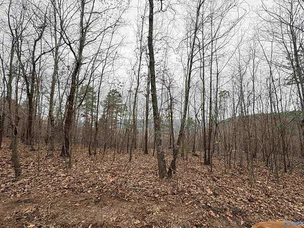 80 Acres of Land for Sale in Scottsboro, Alabama