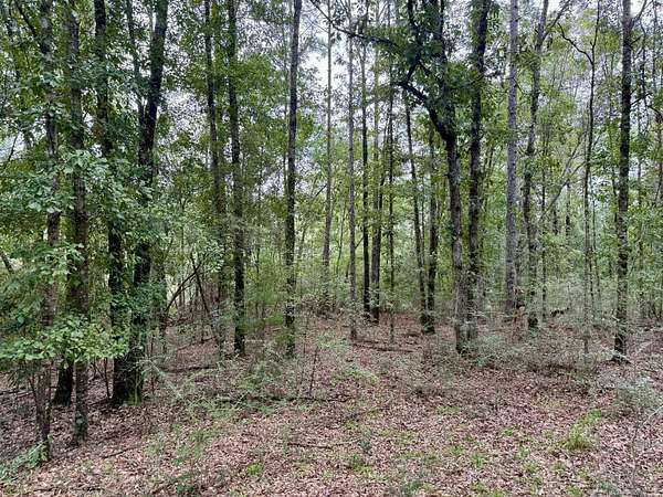9 Acres of Land for Sale in Milton, Florida