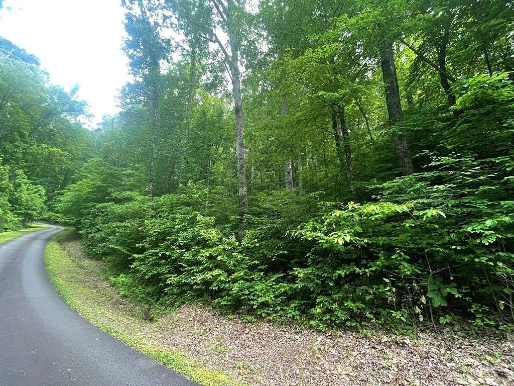 1.54 Acres of Residential Land for Sale in Hayesville, North Carolina