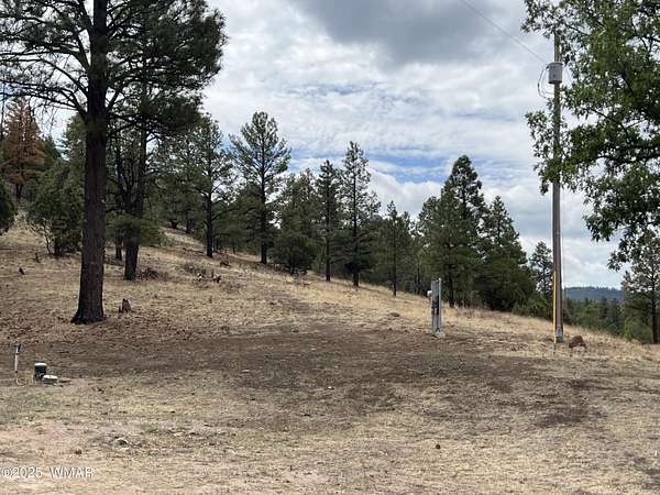 3.22 Acres of Residential Land for Sale in Nutrioso, Arizona