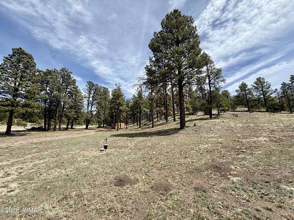 3.22 Acres of Residential Land for Sale in Nutrioso, Arizona