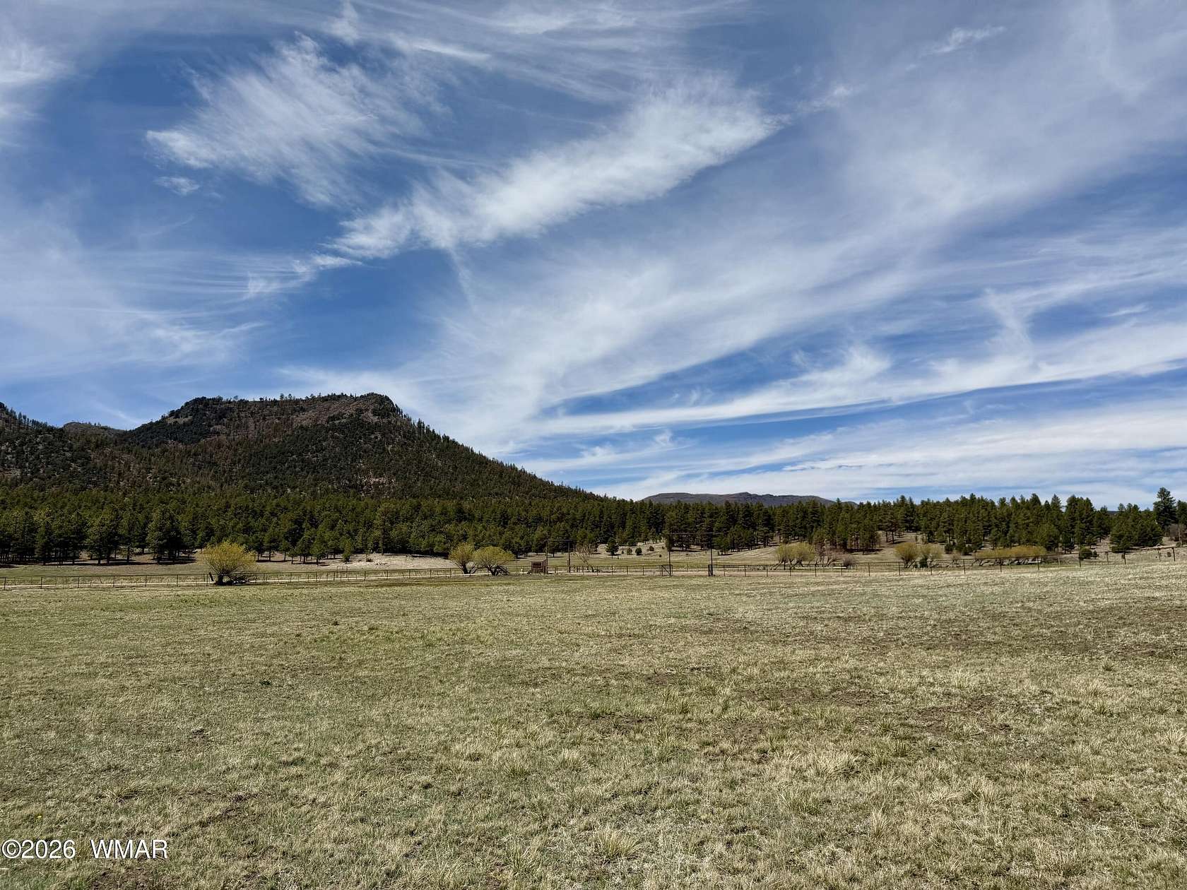 2.66 Acres of Residential Land for Sale in Nutrioso, Arizona