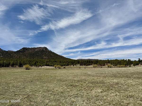 2.66 Acres of Residential Land for Sale in Nutrioso, Arizona