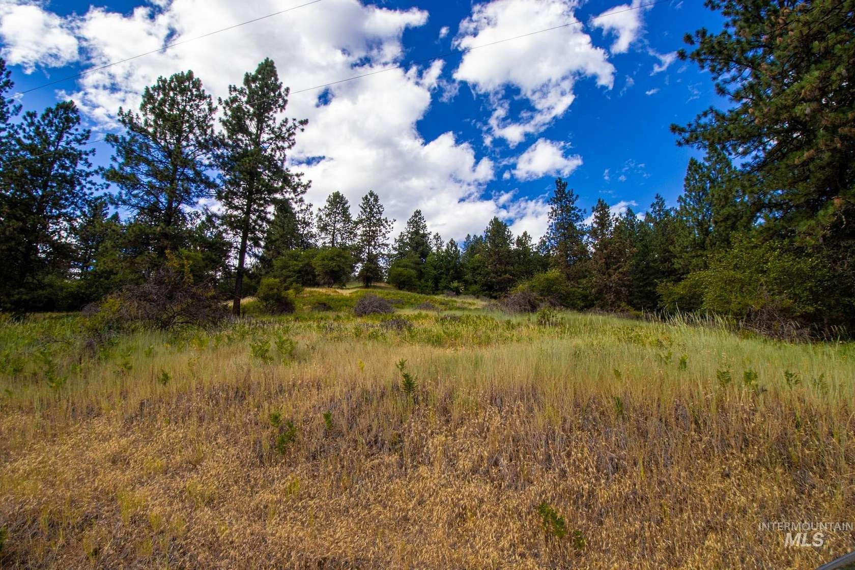 8 Acres of Land for Sale in Ahsahka, Idaho