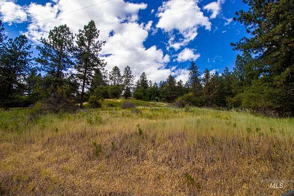 8 Acres of Land for Sale in Ahsahka, Idaho