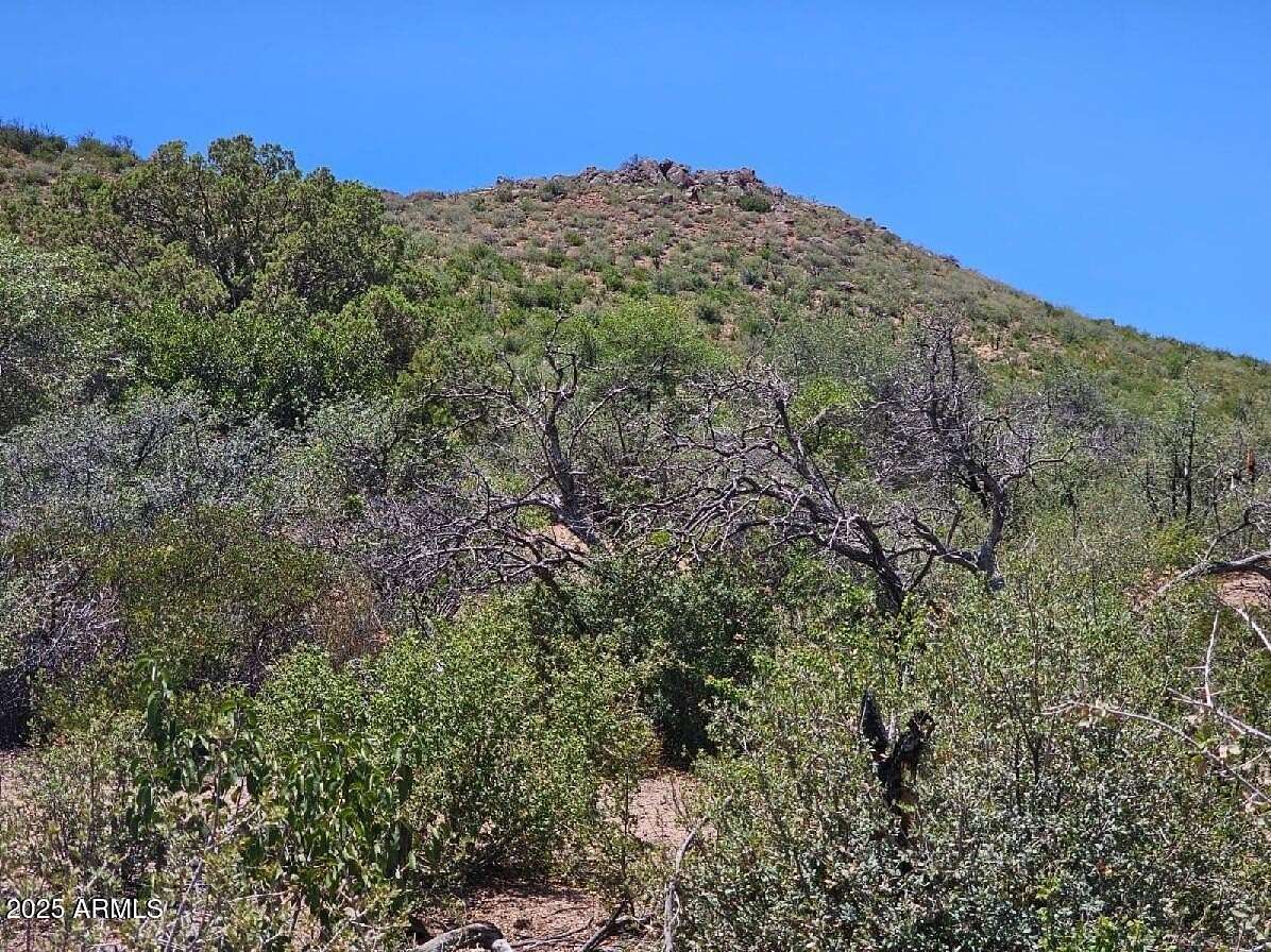 10 Acres of Residential Land for Sale in Globe, Arizona