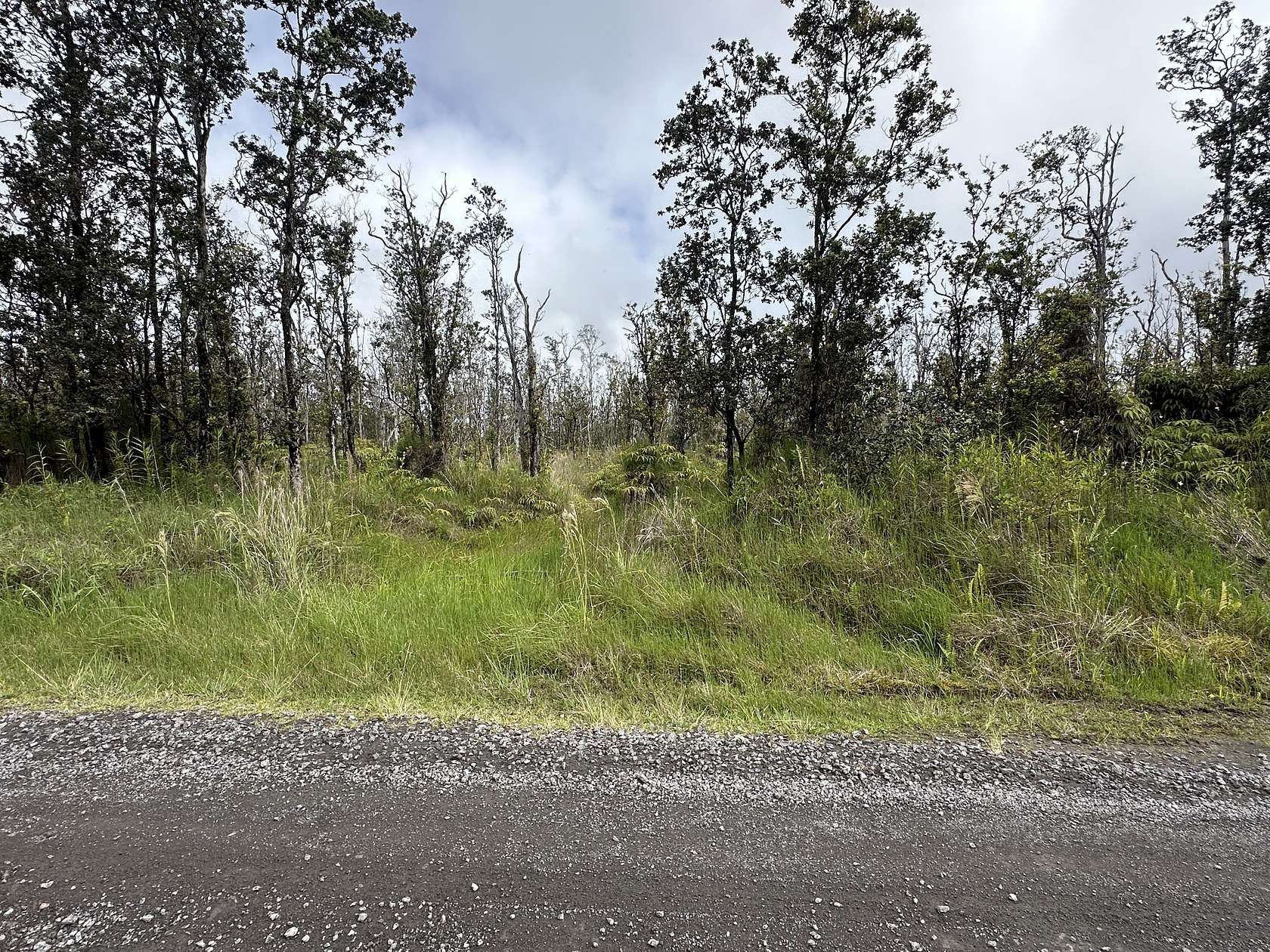 3 Acres of Land for Sale in Volcano, Hawaii
