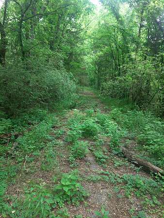 30.8 Acres of Recreational Land for Sale in Ardmore, Tennessee