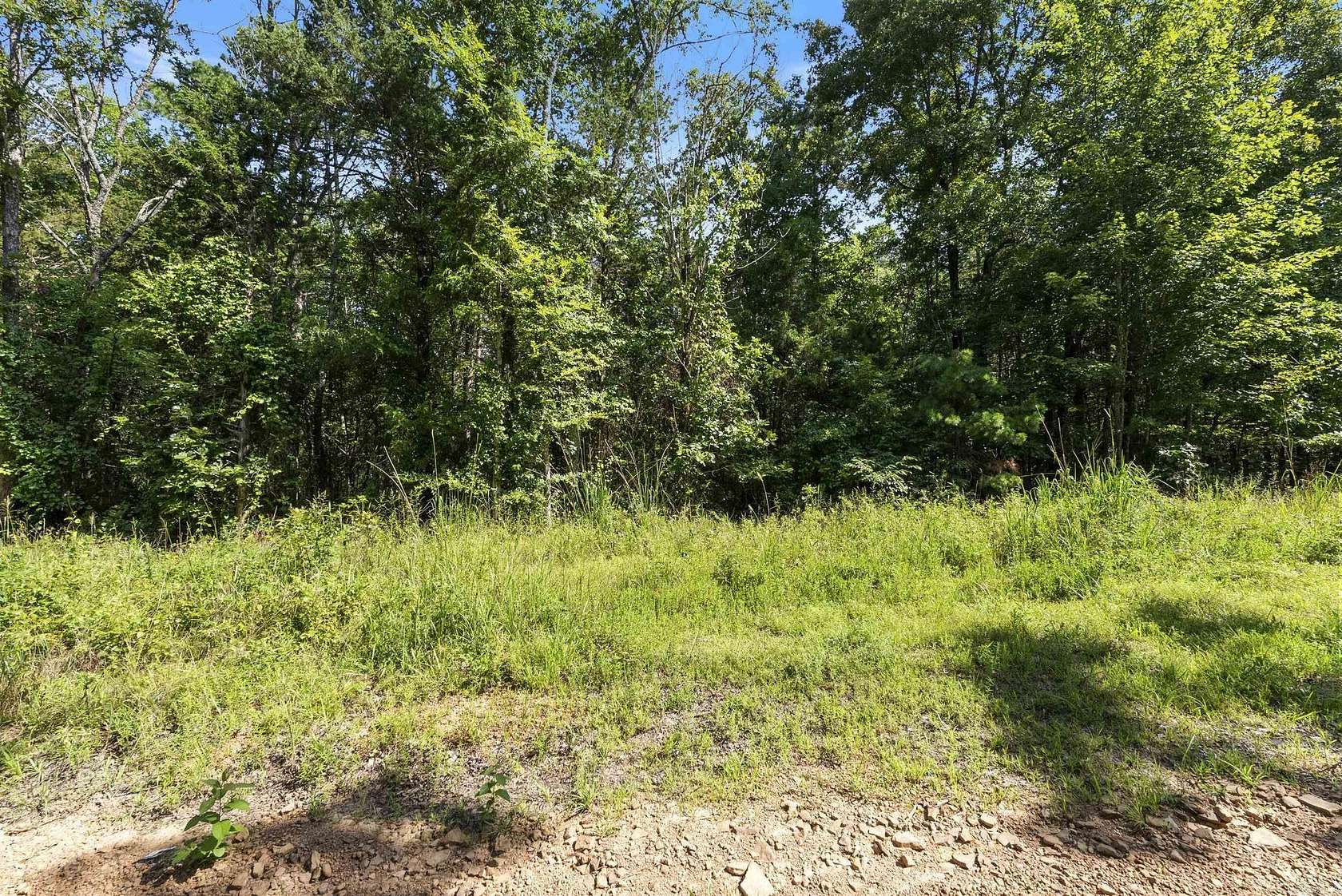 10 Acres of Recreational Land for Sale in Shirley, Arkansas