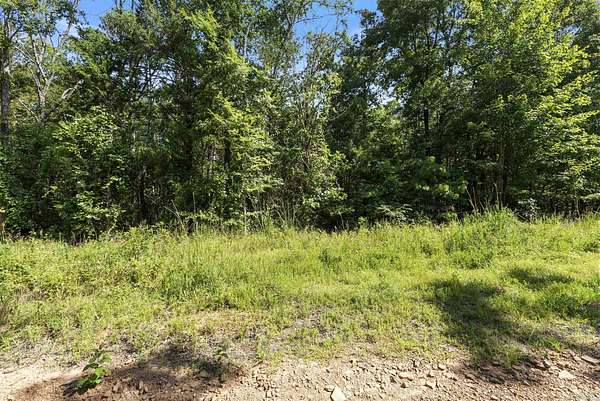 10 Acres of Recreational Land for Sale in Shirley, Arkansas