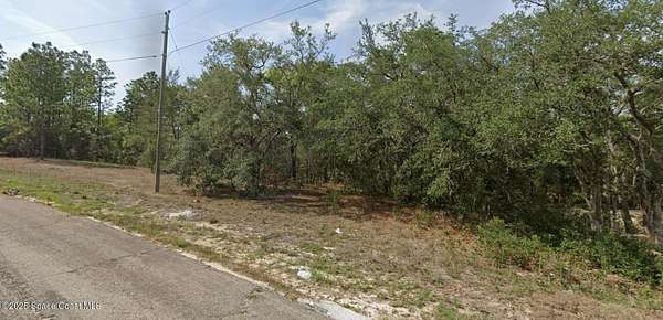 0.28 Acres of Residential Land for Sale in Dunnellon, Florida