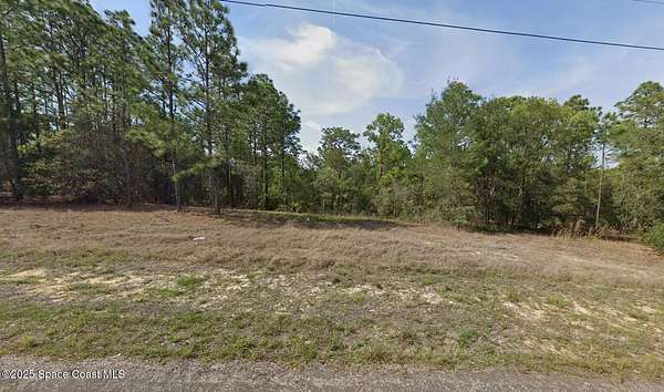 0.25 Acres of Residential Land for Sale in Dunnellon, Florida