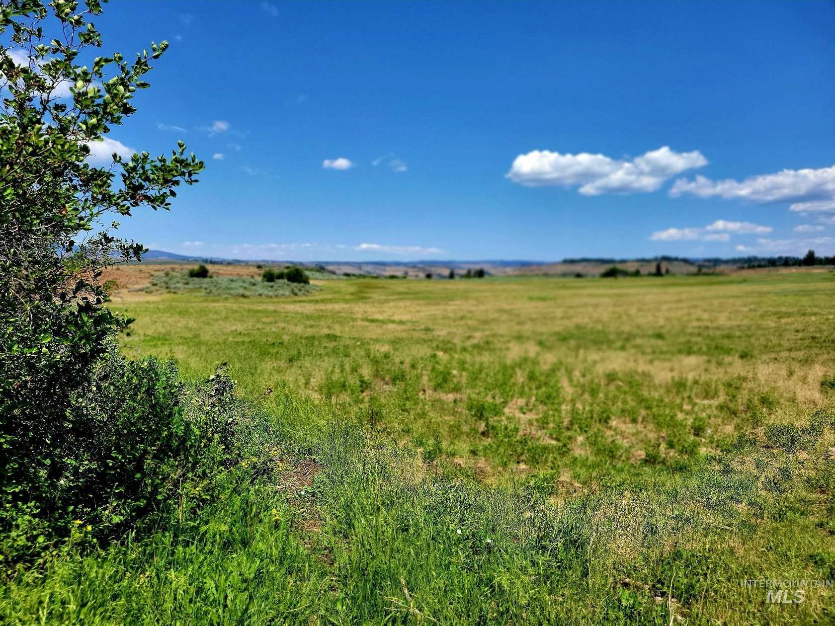 112 Acres of Agricultural & Residential Land for Sale in Council, Idaho