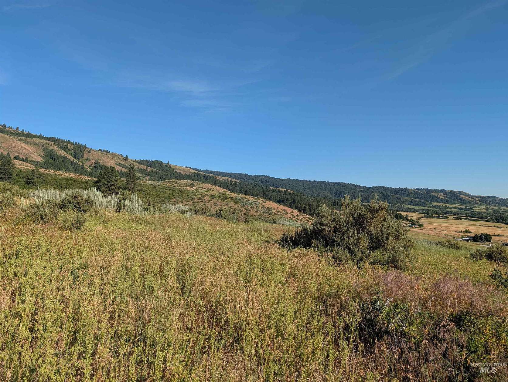 112 Acres of Recreational & Residential Land for Sale in Council, Idaho