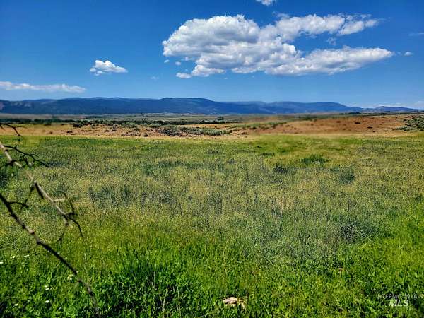 112 Acres of Agricultural Land for Sale in Council, Idaho